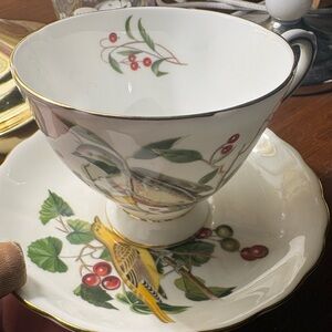 Royal Chelsea Audubon design China two cups and saucers